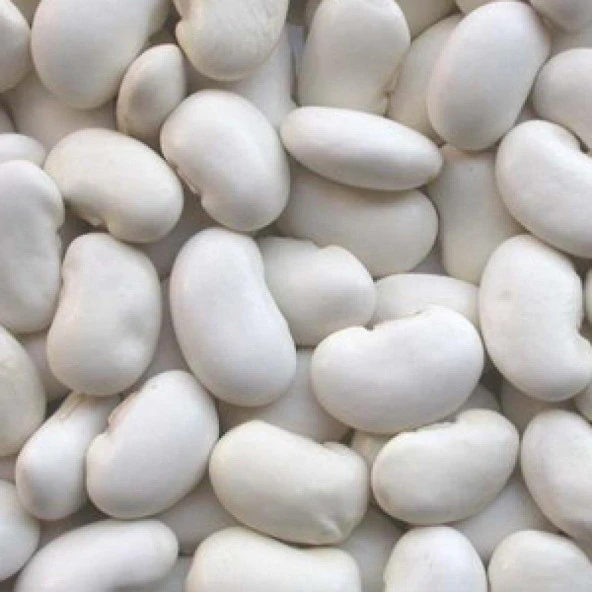 Yerli Ata Tohumu Bombay Sırık Fasulyesi 25 Gr ürün görseli 1