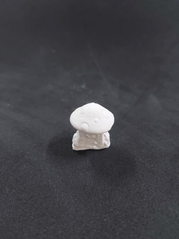 Mantar Ev No:4 3x2,5cm ürün görseli 1