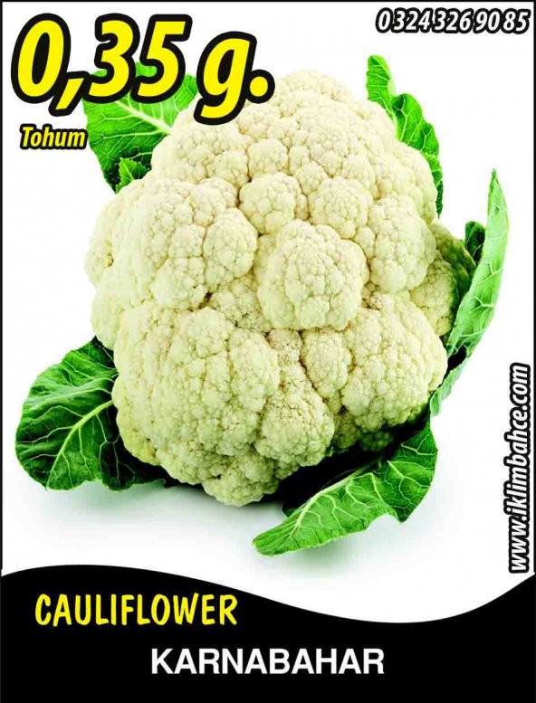 Karnabahar Tohumu Igloo 0,35 G (~ Takribi 60 Tohum) ürün görseli 1
