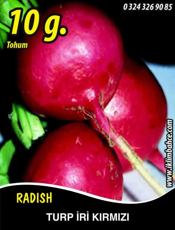 Turp Tohumu Toros Kırmızısı - 10 G (~ Takribi 600 Tohum) ürün görseli 1