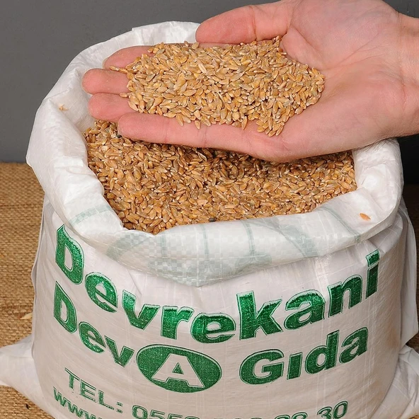 KASTAMONU SİYEZ BUĞDAYI TANELİ 10KG ürün görseli 1