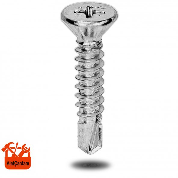 Matkap Uçlu Vida Akıllı Apex Vidası 4.8x25 - 100 Adet ürün görseli 1