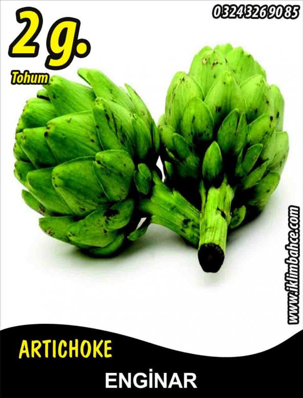 Enginar Tohumu - Hobby Amaçlı - 2 g. (~20 Adet Tohum) ürün görseli 1