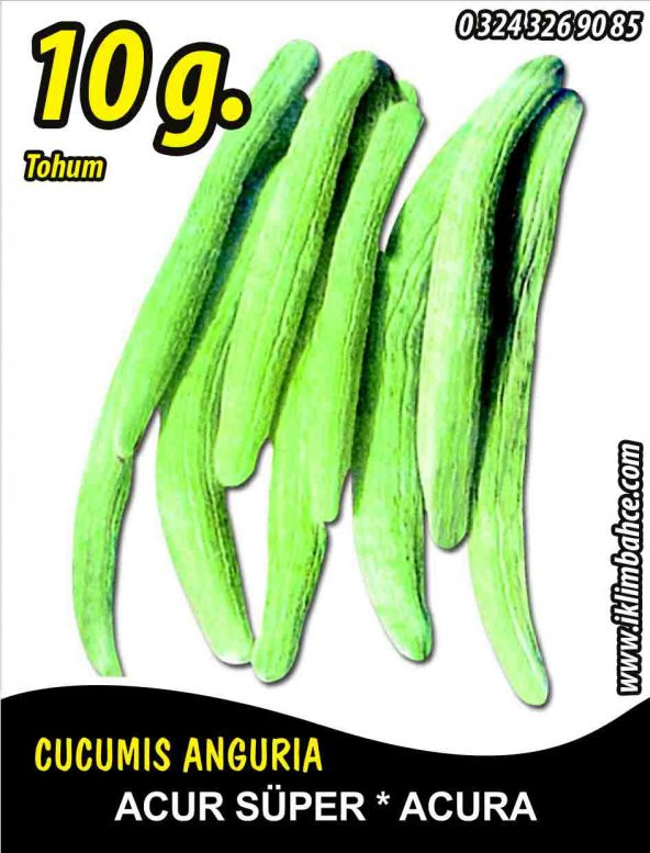 Acur Tohumu Kerem (Beyaz) - 10 G (~ Takribi 150 Tohum) ürün görseli 1