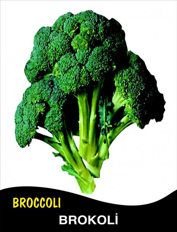 Brokoli Tohumu Monet - 0,35 G (~ Takribi 70 Tohum) ürün görseli 1