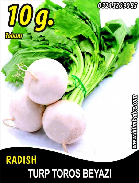 Turp Tohumu Toros Beyazı - 10 G (~ Takribi 600 Tohum) ürün görseli 1