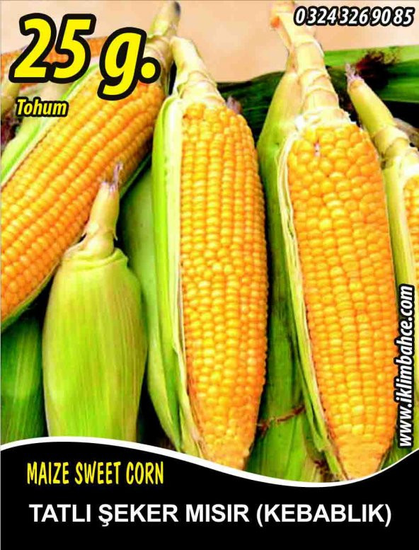 Tatlı Mısır Tohumu Kompozit Tatlı Şeker Pk 25 G. (~ Takribi 70 Tohum) ürün görseli 1