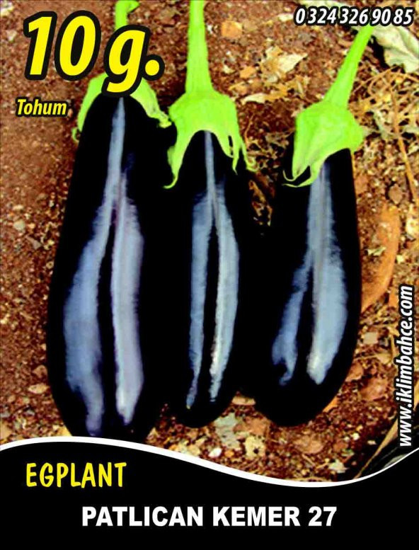 Patlıcan Tohumu Kemer 27 - 10 G. (~ Takribi 1300 Tohum) ürün görseli 1
