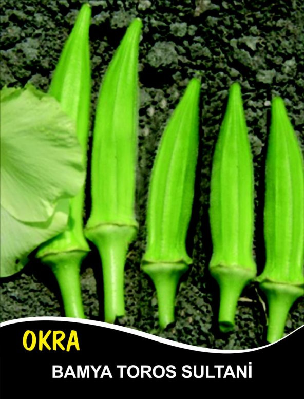 Bamya Tohumu Toros Sultani - 10 G  (~ Takribi 100 Tohum) ürün görseli 1