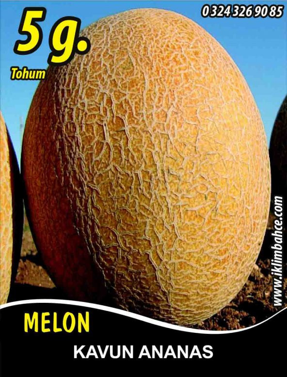 Kavun Tohumu Ananas - 5 G. (~ Takribi 70 Tohum) ürün görseli 1