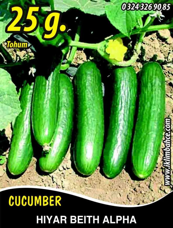 Hıyar Tohumu Salatalık Beith Alpha - 25 G. (~ Takribi 500 Tohum) ürün görseli 1