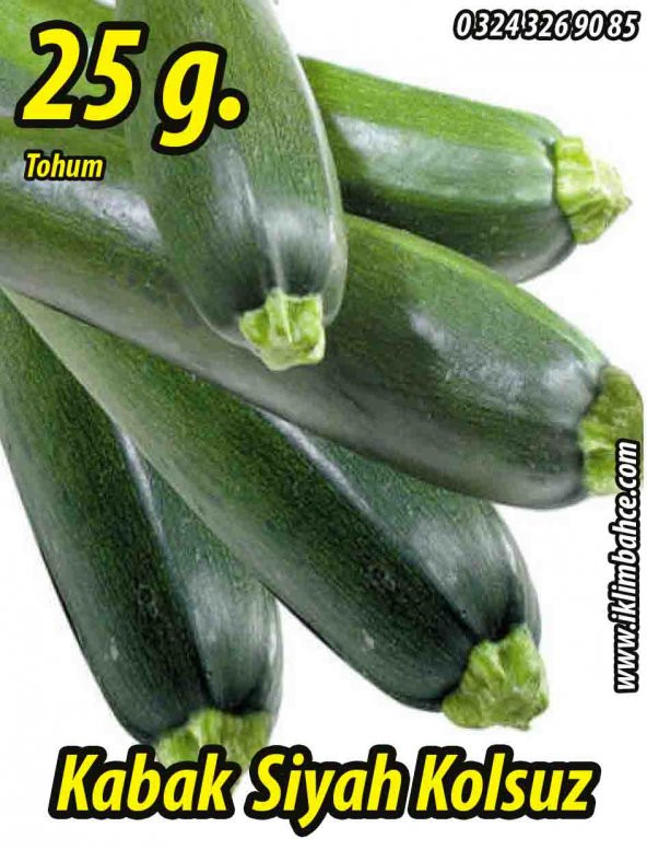 Kabak Tohumu Siyah Dolmalık - 25 G. (~ Takribi 90 Tohum) ürün görseli 1