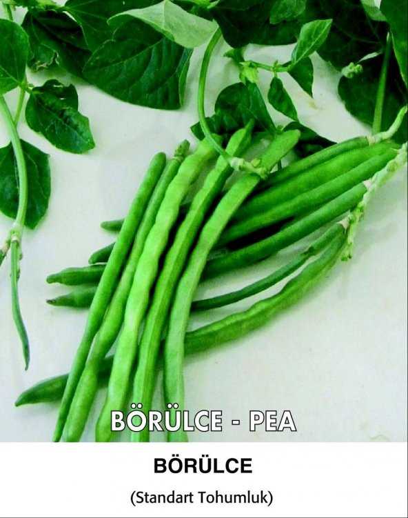 Börülce Tohumu Karagöz 86 - 25g ürün görseli 1