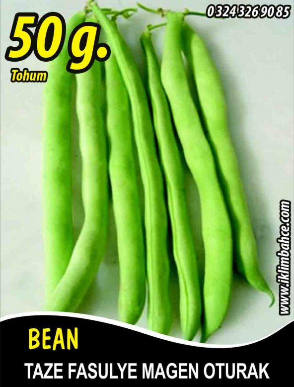 Fasulye Tohumu Magen  ( Oturak ) - 50 g  (~ Takribi 150 Tohum) ürün görseli 1