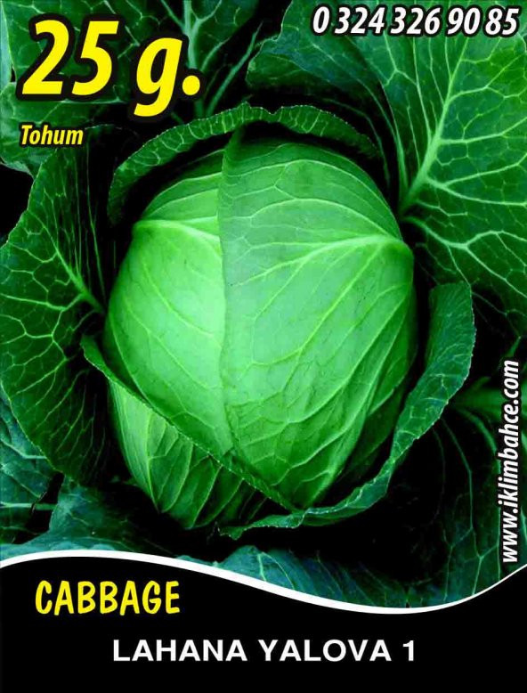 Lahana Tohumu Yalova 1 (Beyaz) - 25 G. (~ Takribi 3250 Tohum) ürün görseli 1