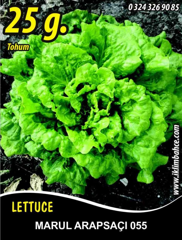 Marul Tohumu Arapsaçı 055 (Kıvırcık) - 25 g. (~ Takribi 13750 Tohum) ürün görseli 1