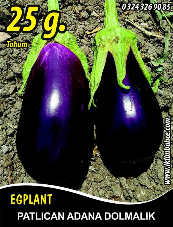 Patlıcan Tohumu Adana Dolmalık - 25 g (~ Takribi 3.250Tohum) ürün görseli 1