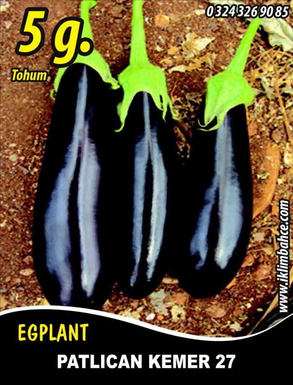 Patlıcan Tohumu Kemer 27 - 5 G (~ Takribi 650 Tohum) ürün görseli 1