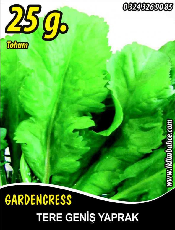 Tere Tohumu Toros Yeşili - 25 G. (~ Takribi 6250 Tohum) ürün görseli 1