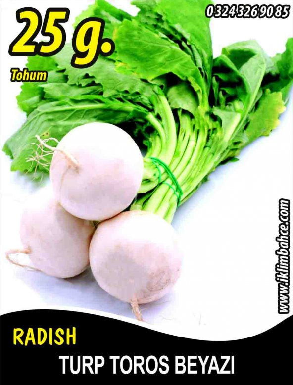 Turp Tohumu Toros Beyazı - 25 g. (~ Takribi 1500 Tohum) ürün görseli 1