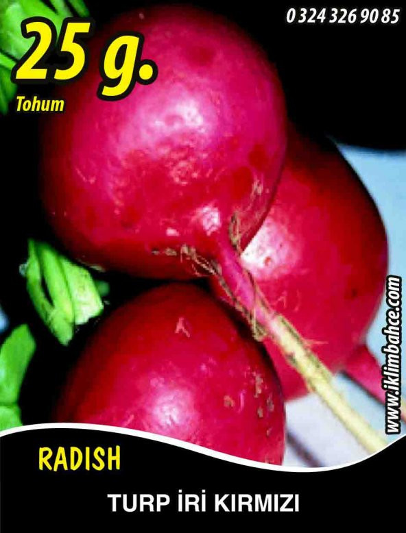 Turp Tohumu Toros Kırmızısı - 25 G. (~ Takribi 1500 Tohum) ürün görseli 1