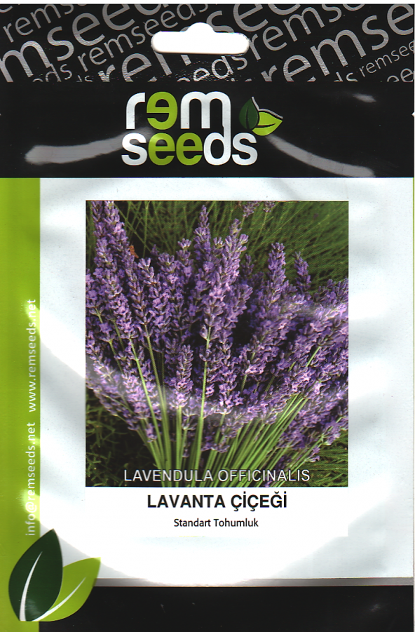 Lavanta Tohumu - Lavandula Offıcınalıs (~ Takribi 40 Tohum) ürün görseli 1