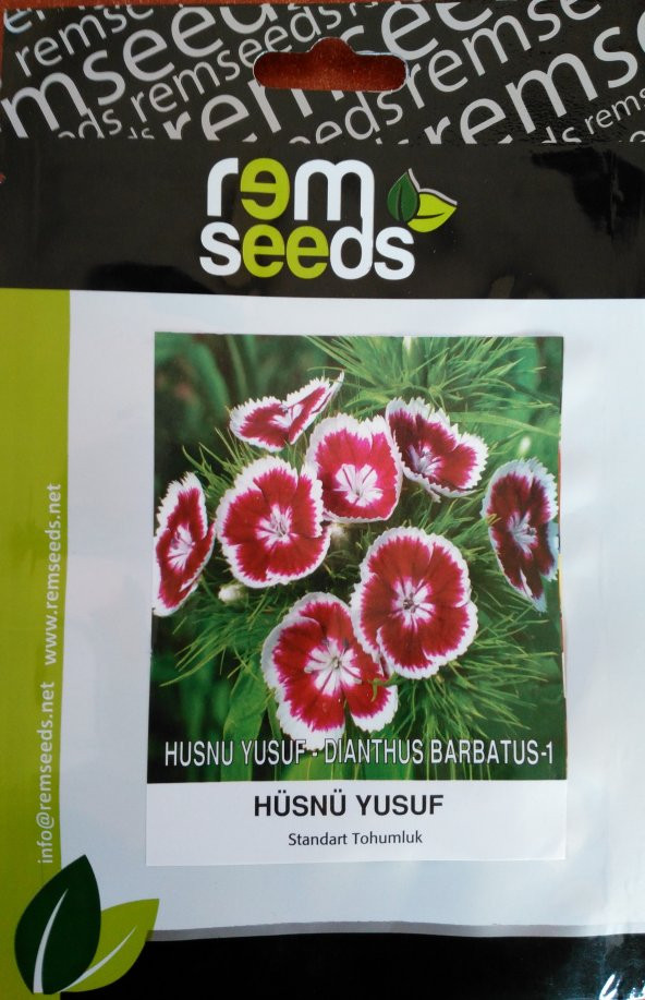 Hüsnü Yusuf Çiçek Tohumu - Dıanthus Barbatus - 1 (~ Takribi 50 Tohum) ürün görseli 1