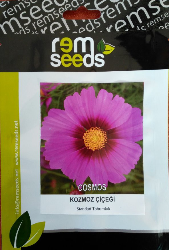 Kozmos - Cosmos (~ Takribi 25 Tohum) ürün görseli 1