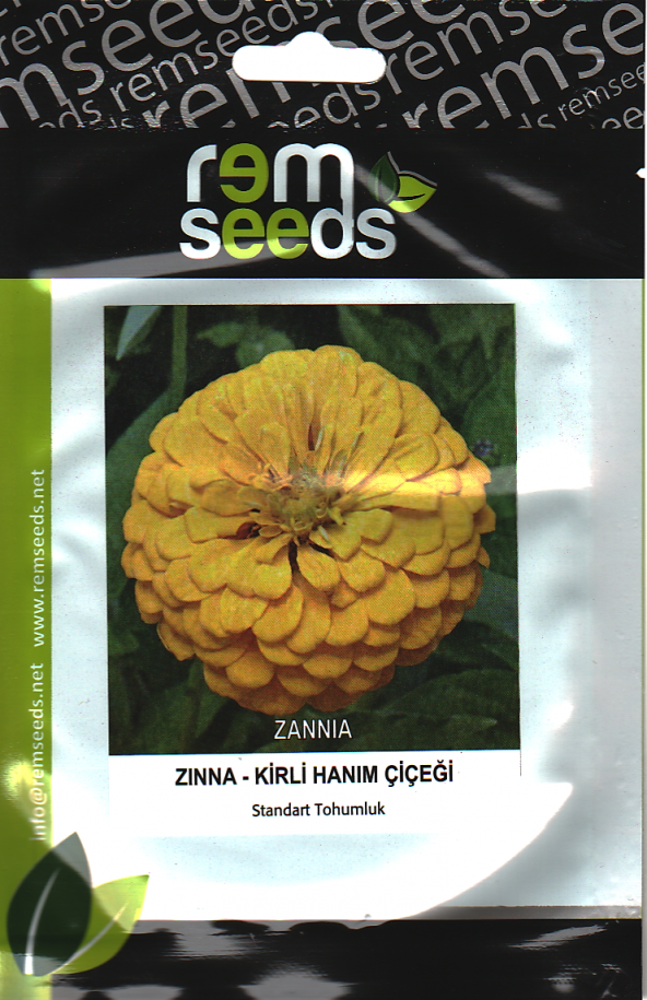 Zinnia Çiçek Tohumu (Kirli Hanım Çiçeği) Sarı Renk 1 (~ Takribi 25 Tohum) ürün görseli 1