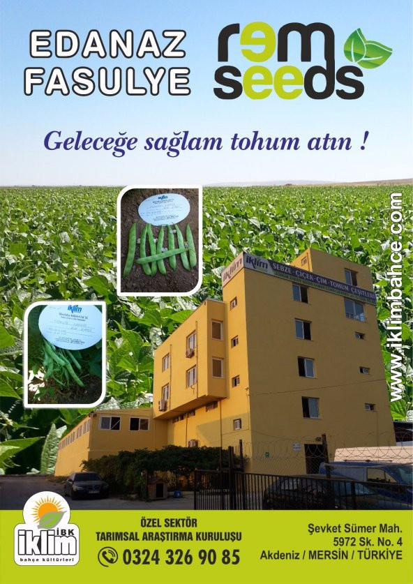 Fasulye Tohumu Edanaz ( Oturak ) - 10 Kg - Resim 3