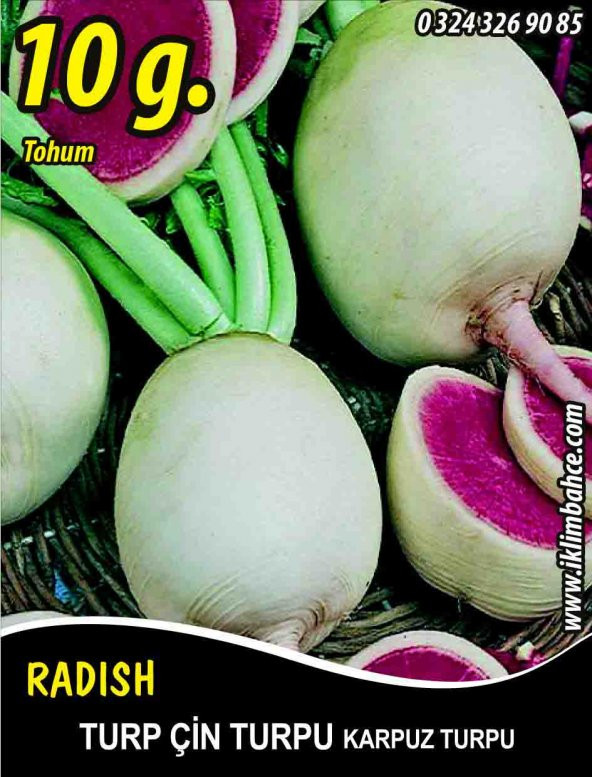 Turp Tohumu Çin Turpu 10 g (~ Takribi 600 Tohum) ürün görseli 1
