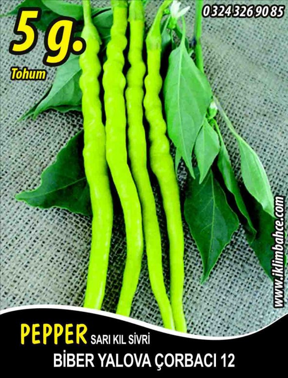 Biber Tohumu Yalova Çorbacı 12 - 5 G. (~ Takribi 400 Tohum) ürün görseli 1