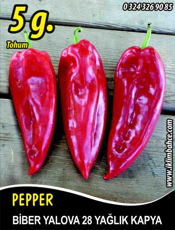 Biber Tohumu Yalova Yağlık 28 / - 5 G (~ Takribi 400 Tohum) ürün görseli 1