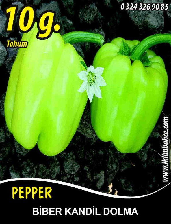 Biber Tohumu Kandil Dolma - 10 G (~ Takribi 800 Tohum) ürün görseli 1