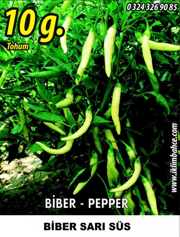 Biber Tohumu Sarı Süs - 10 g (~ Takribi 800 Tohum) ürün görseli 1