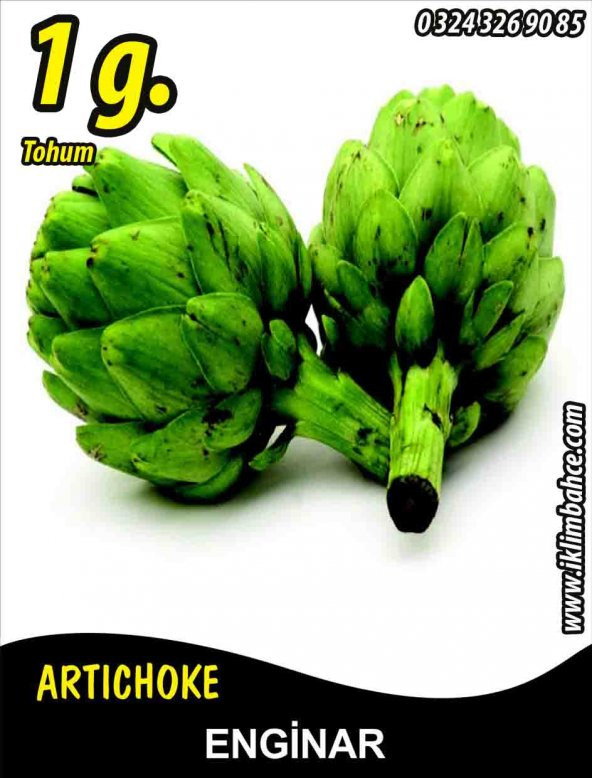 Enginar Tohumu - Hobby Amaçlı - 1 G. (~10 Adet Tohum) ürün görseli 1