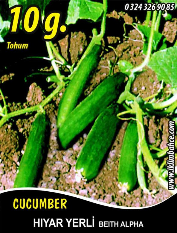 Hıyar Tohumu Salatalık Yerli - 10 G  (~ Takribi 200 Tohum) ürün görseli 1