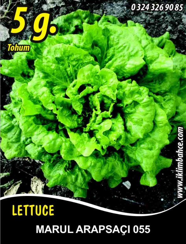 Marul Tohumu Arapsaçı 055 (Kıvırcık) - 5 G. (~ Takribi 2750 Tohum) ürün görseli 1