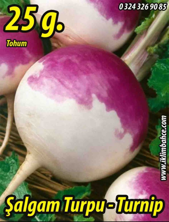 Şalgam Turpu Tohumu - 25 g. (~ Takribi 1500 Tohum) ürün görseli 1