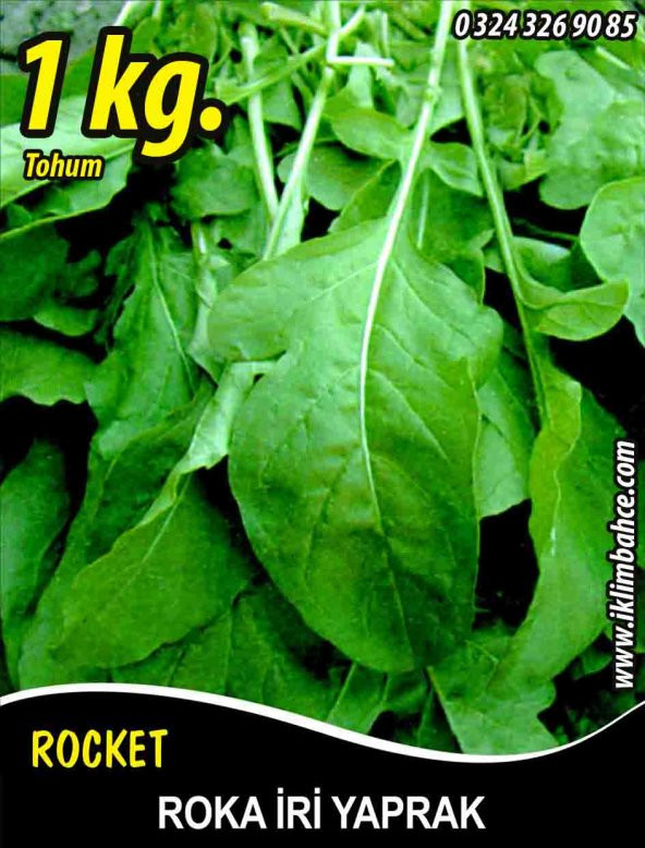 Roka Tohumu Toros İri Yaprak - 1 Kg ürün görseli 1