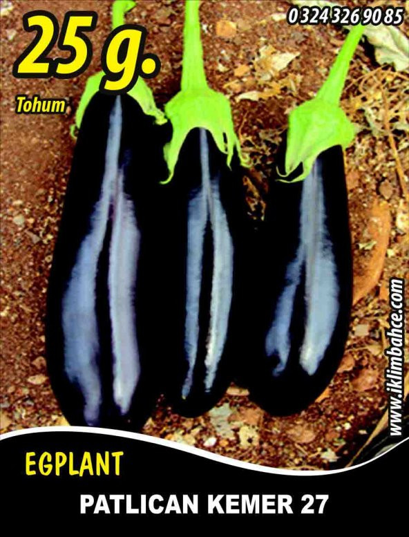 Patlıcan Tohumu Kemer 27 - 25 g (~ Takribi 3.250 Tohum) ürün görseli 1