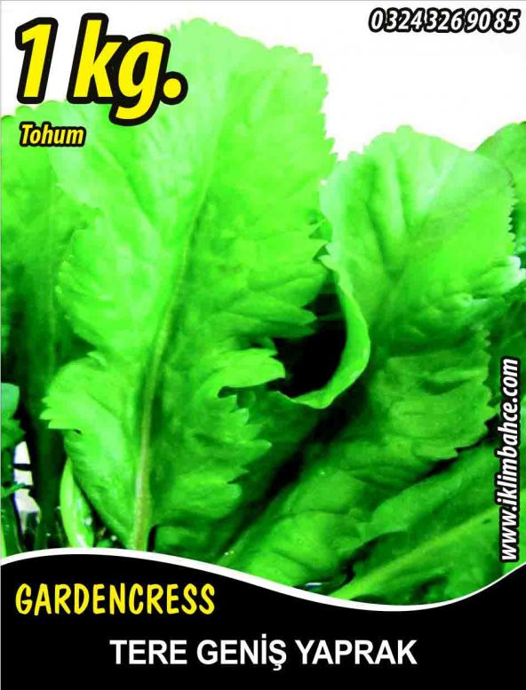 Tere Tohumu Toros Yeşili - 1 KG ürün görseli 1