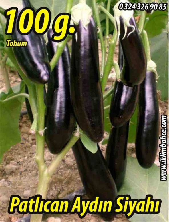 Patlıcan Tohumu Aydın Siyahı 55 - 100 g. ürün görseli 1