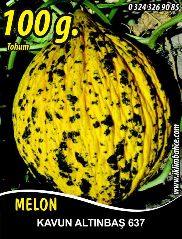 Kavun Tohumu Kırkağaç 637 / 100 g. ürün görseli 1