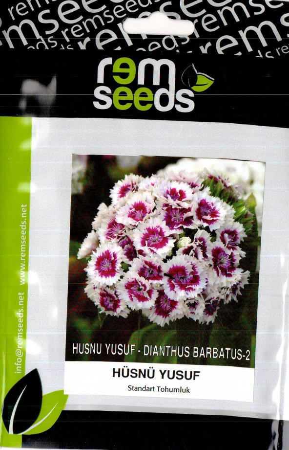 Hüsnü Yusuf Çiçek Tohumu - Dıanthus Barbatus - 2 (~ Takribi 50 Tohum) ürün görseli 1