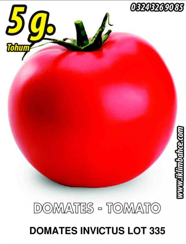 Domates Tohumu İnvictus Lot 335 Pk 5g (~ Takribi 750 Tohum) ürün görseli 1