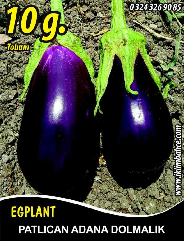 Patlıcan Tohumu Adana Dolmalık - 10 g (~ Takribi 1350 Tohum) ürün görseli 1