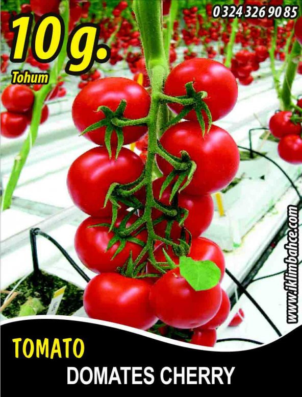 Domates Tohumu Cherry - 10g (~ Takribi 1500 Tohum) ürün görseli 1