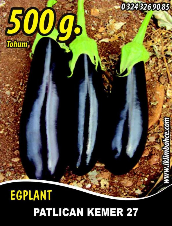Patlıcan Tohumu Kemer 27 - 500 g ürün görseli 1