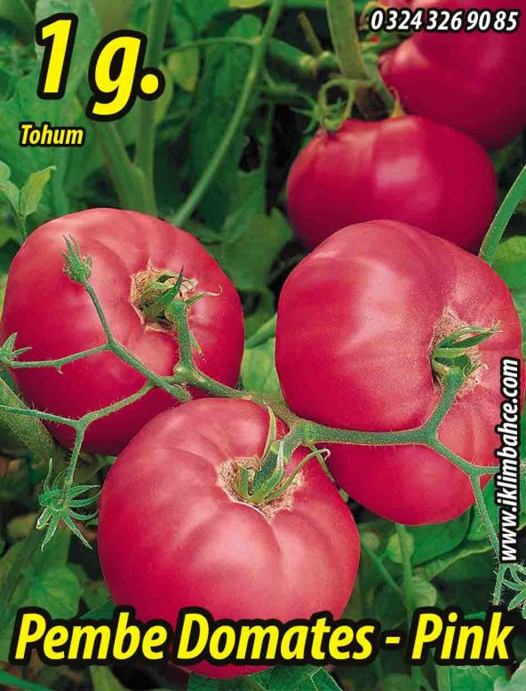 Domates Tohumu Ege Pembesi - 1G (~ Takribi 150 Tohum) ürün görseli 1
